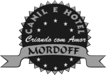 Canil e hotel - Mordoff